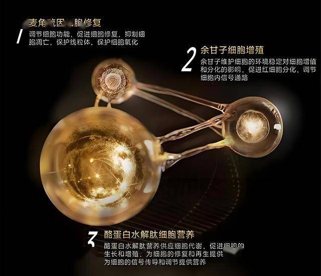 第四次挂牌 沈阳乐都汇资产漫长的漂流