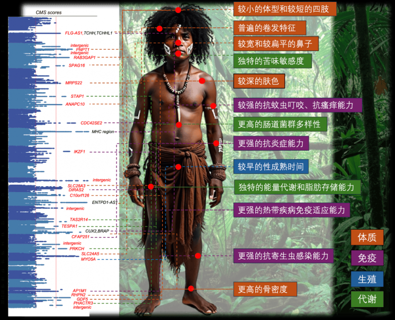 人工智慧實驗室推代理 AI 新平台，專精繁中語境